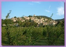 Cliquez sur la photo pour agrandir